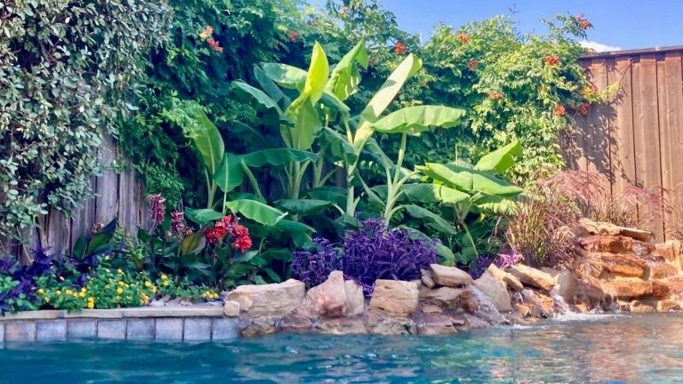 43XX Quail Hollow Road – Dallas, TX, 75287 – coming soon home for sale in DFW