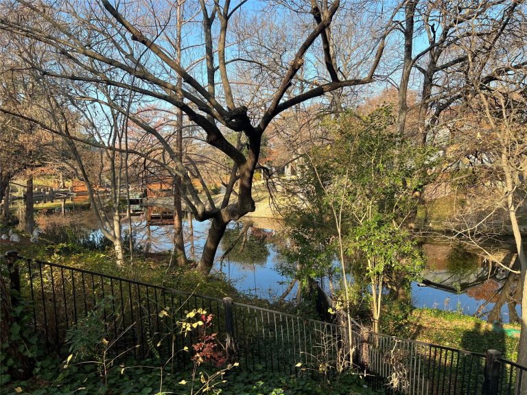 10XX Loch Lomond Drive – Arlington, TX, 76012 – coming soon home for sale in DFW