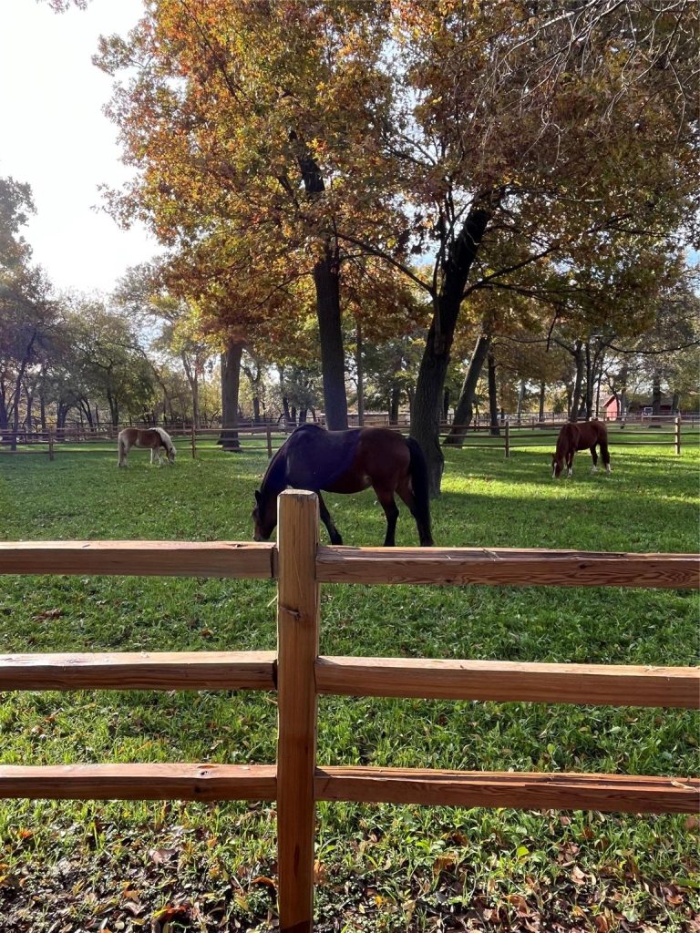 42XX Sycamore Lane – Parker, TX, 75002 – coming soon home for sale in DFW