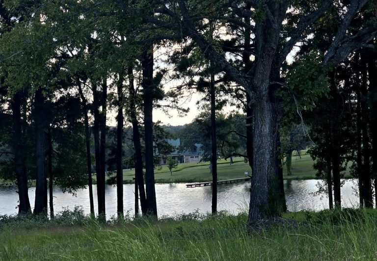 Property Photo of 14244 Caddo Creek Circle, Larue 75770 – Home for Sale in Larue