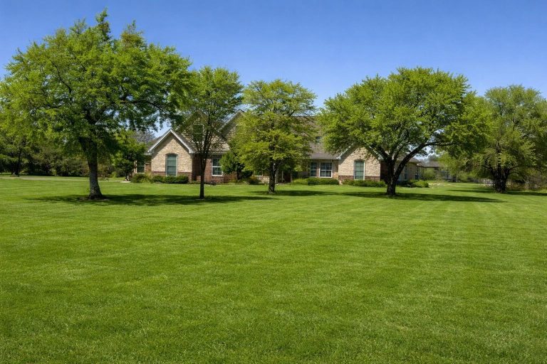 Property Photo of 1253 Abigail Lane, Glen Rose 76043 – Home for Sale in Glen Rose